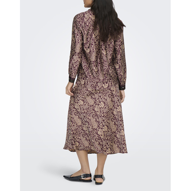 Product ONLY ONLJANE LIFE L/S SHIRT WVN base image