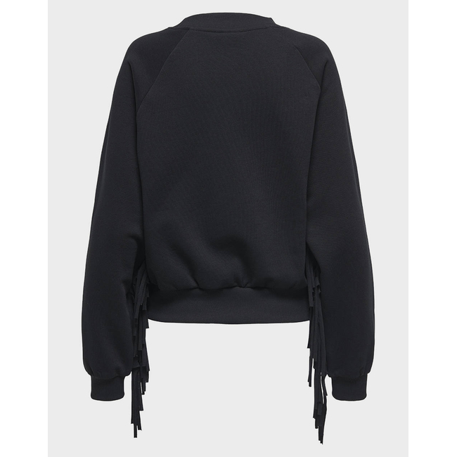 Product ONLY ONLJETT L/S O-NECK EMB. BOX SWT base image