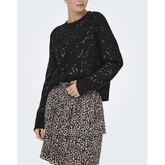 Product ONLY ONLALTA LS SEQUIN O-NECK KNT base image