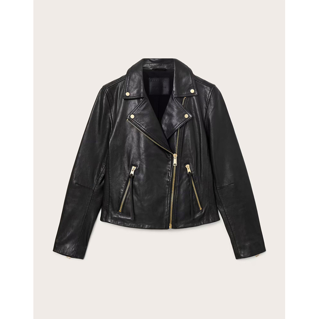 Product ALL SAINTS DALBY BIKER base image