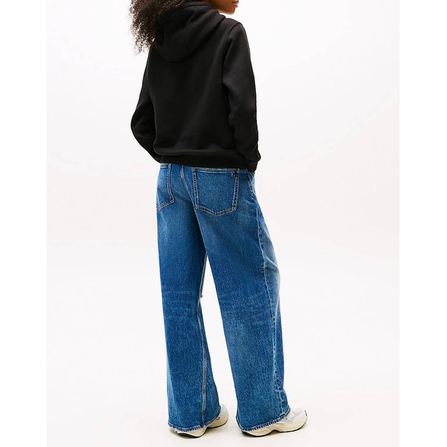 Product TOMMY JEANS TJW REG S FLAG HOODIE base image