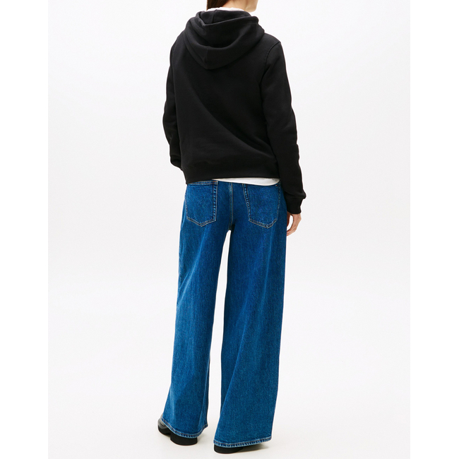 Product TOMMY JEANS TJW REG LINEAR HOODIE EXT base image