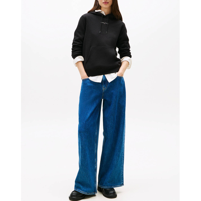 Product TOMMY JEANS TJW REG LINEAR HOODIE EXT base image