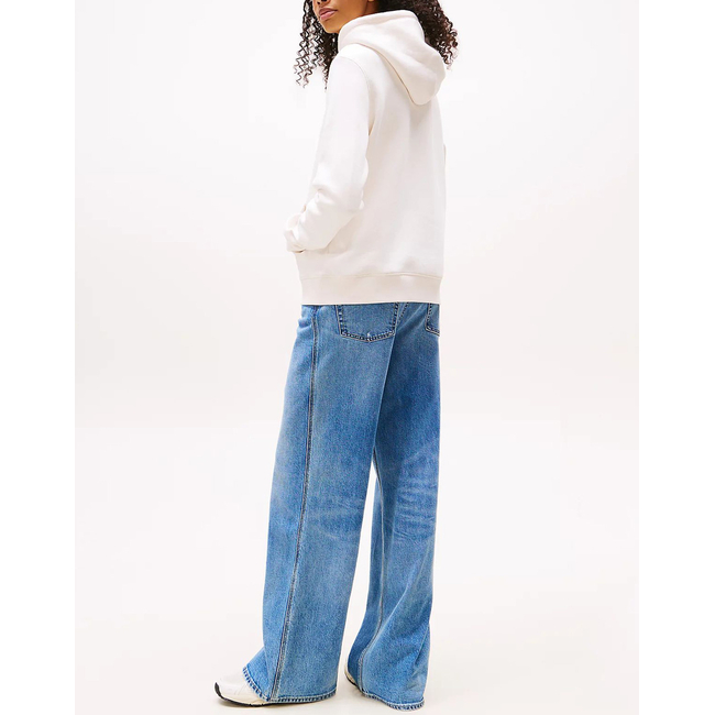 Product TOMMY JEANS TJW REG LINEAR HOODIE EXT base image