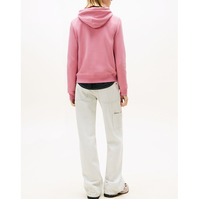 Product TOMMY JEANS TJW REG LINEAR HOODIE EXT base image