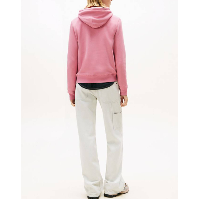 Product TOMMY JEANS TJW REG LINEAR HOODIE EXT base image