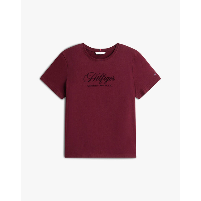Product TOMMY HILFIGER SCRIPT REG C-NK SS TEE base image