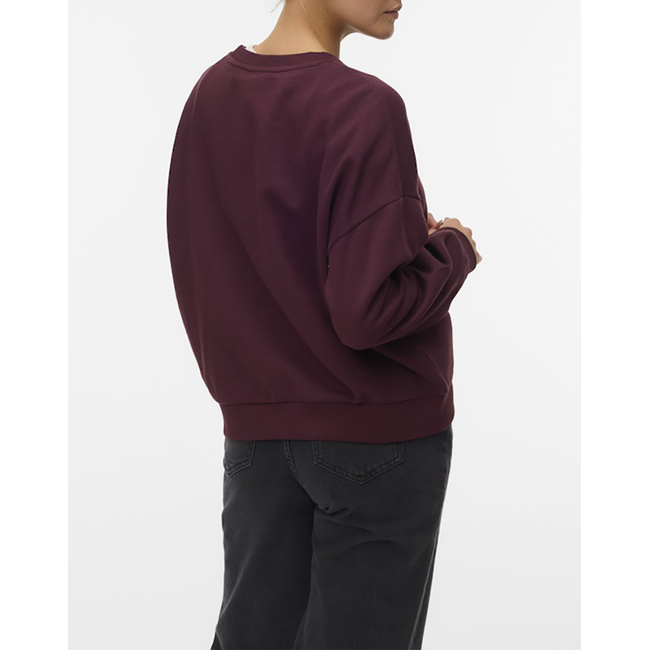 Product VERO MODA VMLOTTE TRINA LS SWEAT BOX GA BF base image