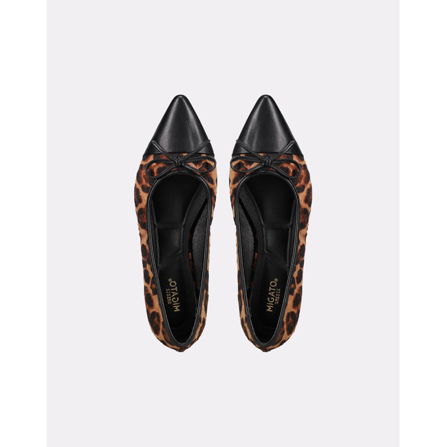 Product MIGATO MATTE SHOES/LEOPARD WITH DECOR. BOW BLACK base image