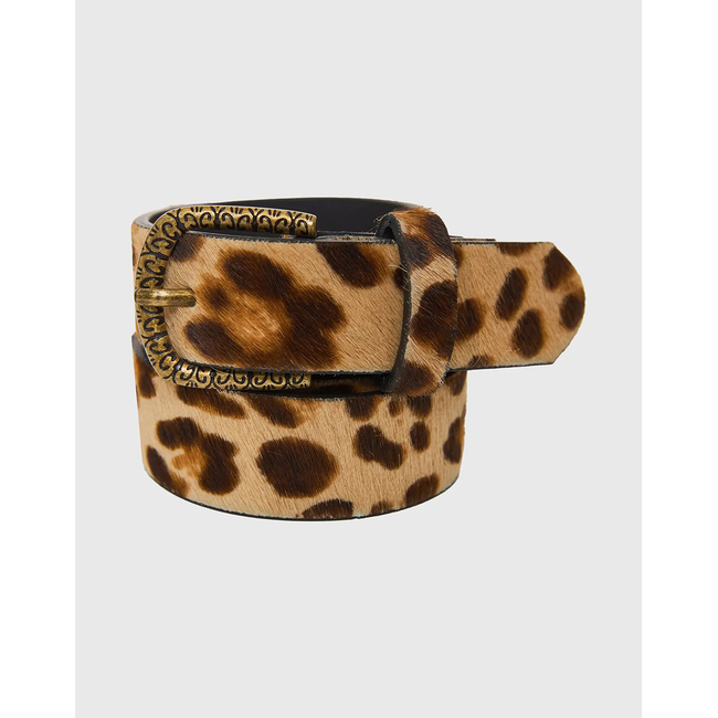 Product FUNKY BUDDHA Γυναικεία Ζώνη base image