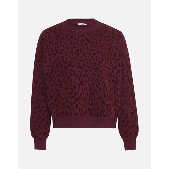 Product SUGARFREE SHIRT base image