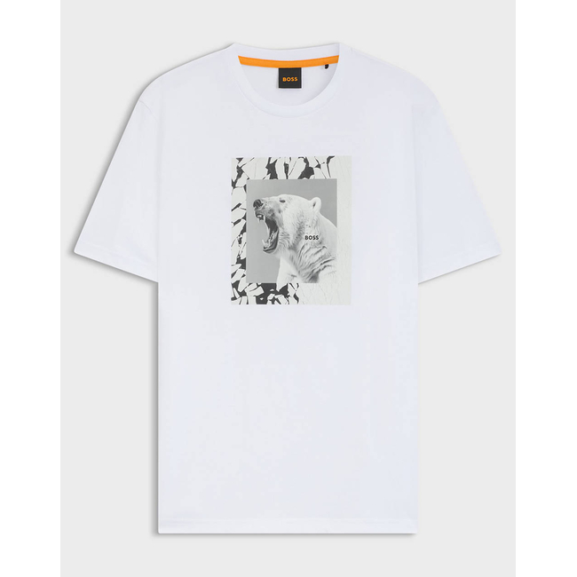 Product BOSS Te_lupo 10276582 01 base image