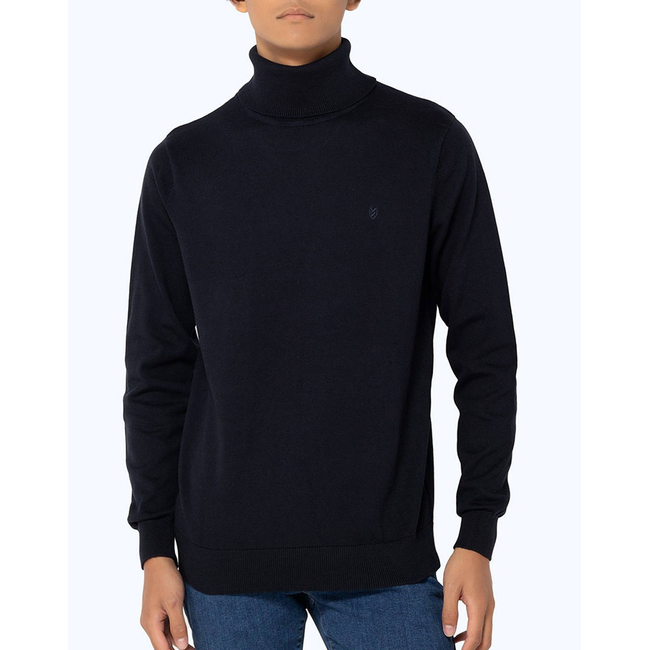 Product THE BOSTONIANS KNITTED COTTON TURTLENECK REGULAR FIT base image