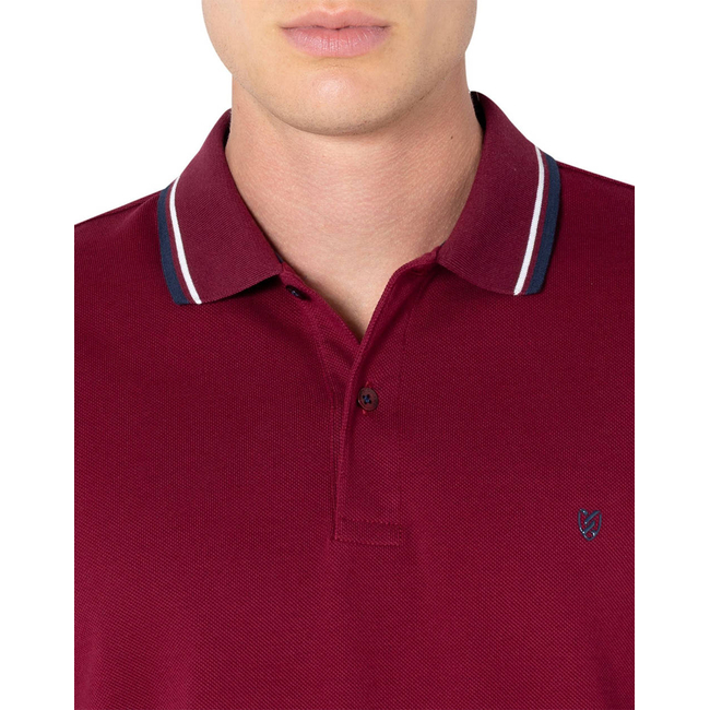 Product THE BOSTONIANS  ΜΠΛΟΥΖΑ POLO PIQUE REGULAR FIT base image