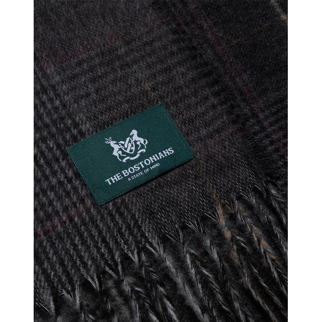 Product THE BOSTONIANS COPLEY SCARF base image