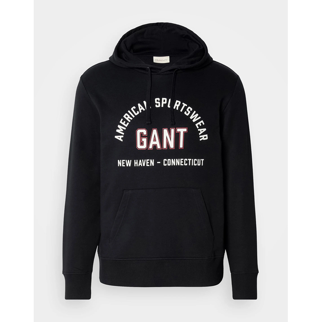 Product GANT LS PRINTED GRAPHIC HOODIE base image