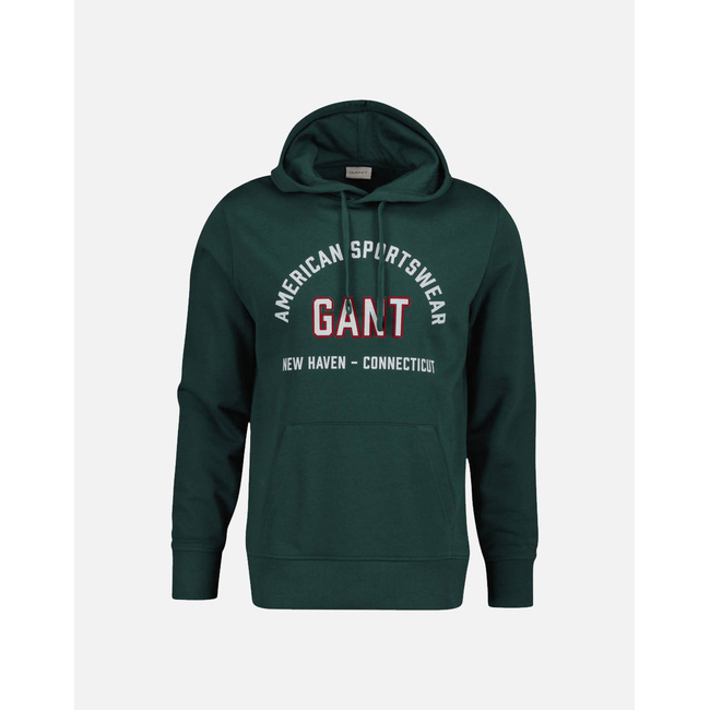 Product GANT ΦΟΥΤΕΡ ΜΜ PRINTED GRAPHIC HOODIE base image