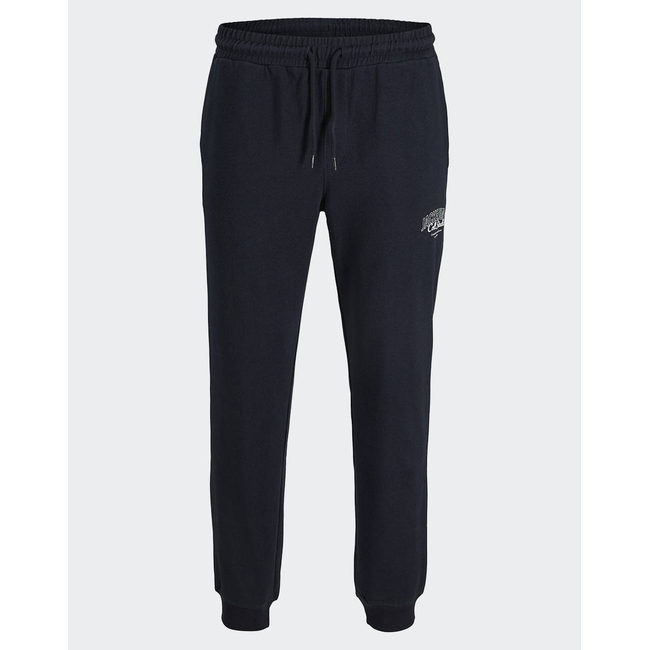 Product JACK&JONES JPSTGORDON MAKOTO SWEAT PANTS base image