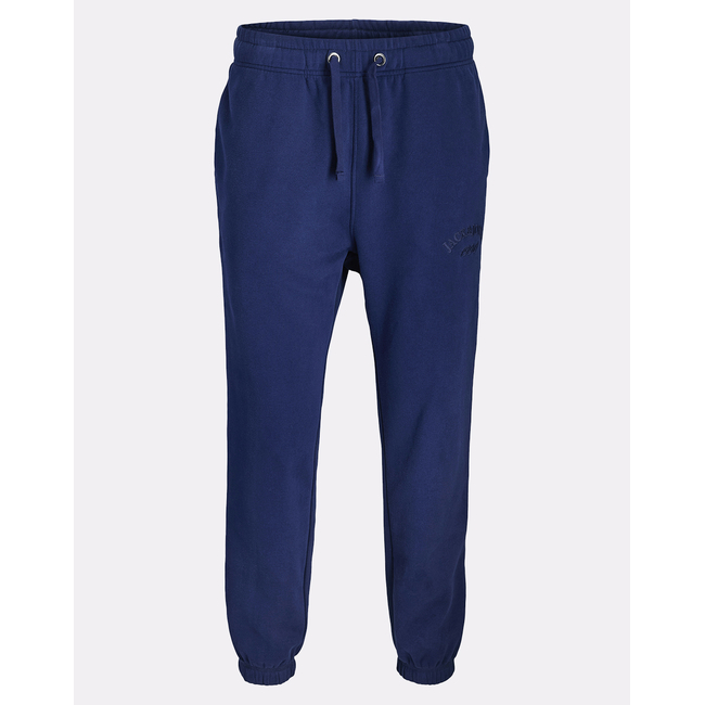 Product JACK&JONES JPSTKANE BLEECKER SWEAT PANTS BF base image