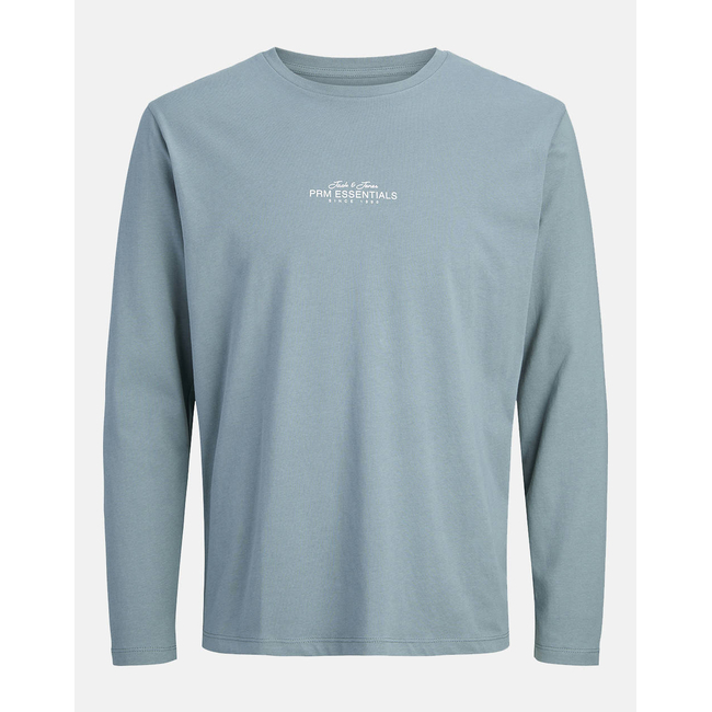 Product JACK&JONES JPRBLACASPER LS TEE FST base image