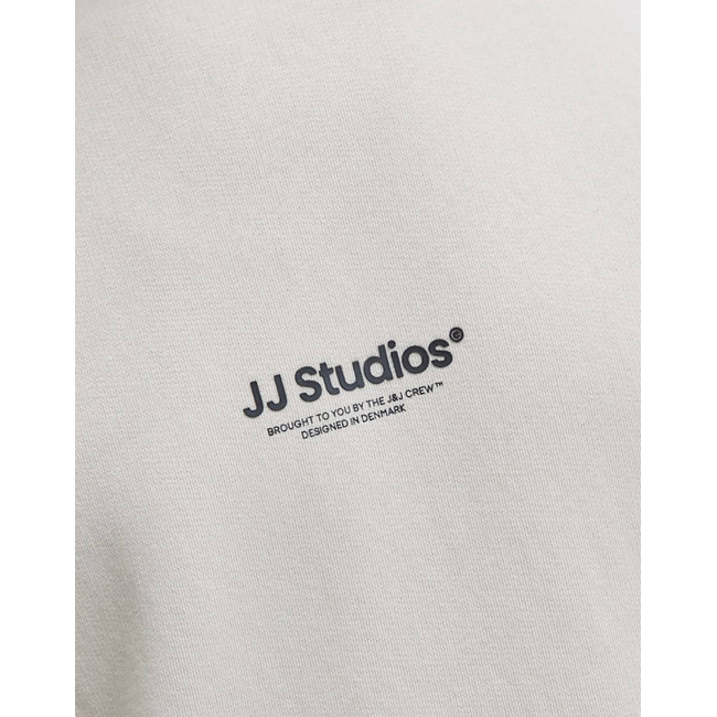 Product JACK&JONES JJESOHO SWEAT CREW NECK NOOS base image