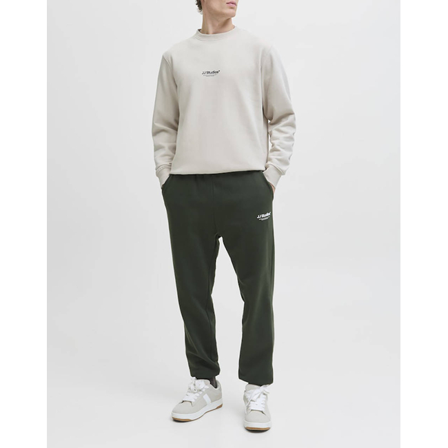 Product JACK&JONES JJESOHO SWEAT CREW NECK NOOS base image