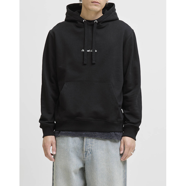 Product JACK&JONES JORNORREBRO EMB SWEAT HOOD NOOS base image