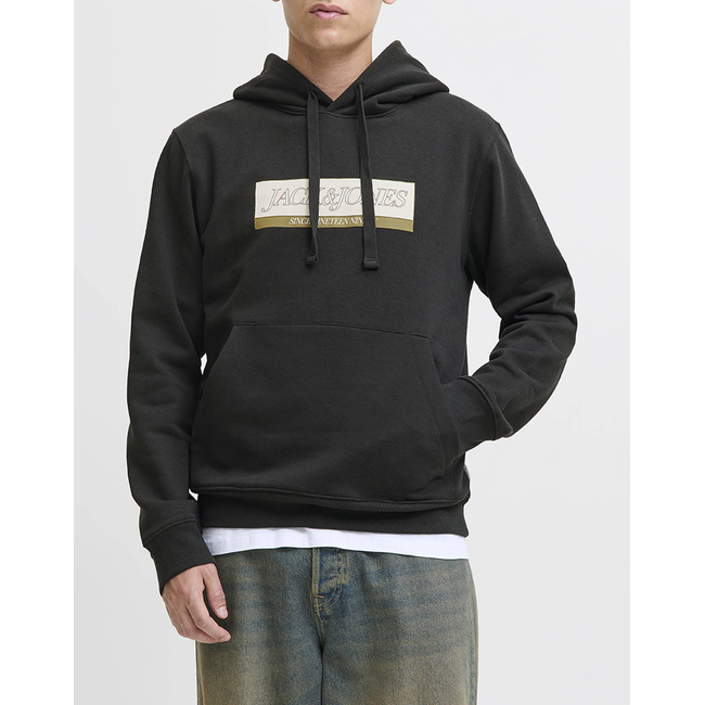 Product JACK&JONES JORINWOOD BLOCK BRANDING SWEAT HOOD base image
