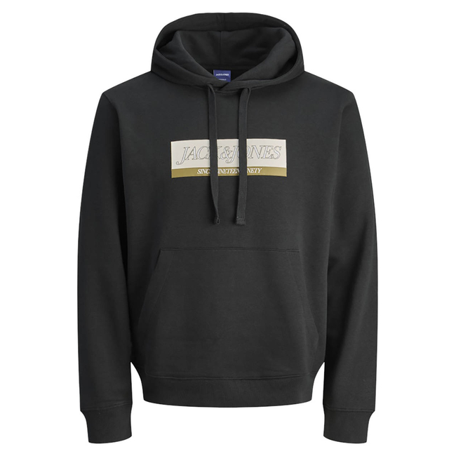 Product JACK&JONES JORINWOOD BLOCK BRANDING SWEAT HOOD base image