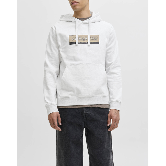 Product JACK&JONES JORINWOOD BLOCK BRANDING SWEAT HOOD base image