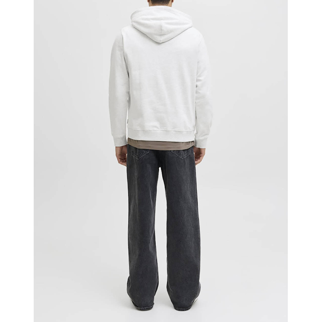 Product JACK&JONES JORINWOOD BLOCK BRANDING SWEAT HOOD base image