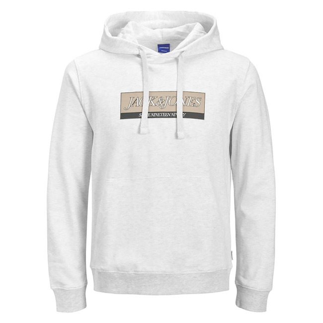 Product JACK&JONES JORINWOOD BLOCK BRANDING SWEAT HOOD base image