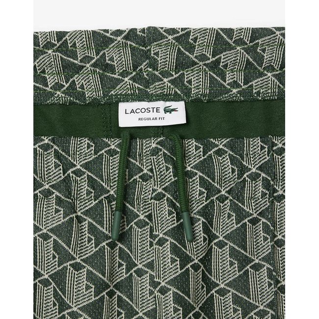 Product LACOSTE ΠΑΝΤΕΛΟΝΙ ΦΟΡΜΑΣ TRACKSUIT TROUSERS base image