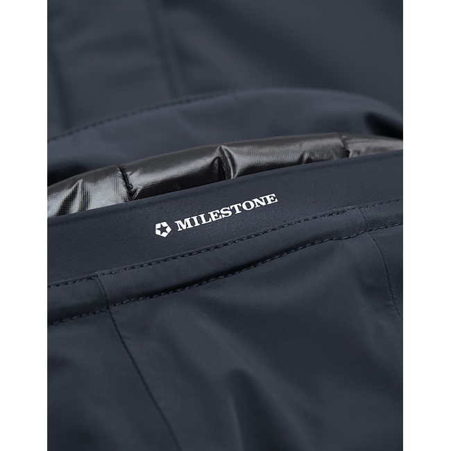 Product MILESTONE MSRichmond base image