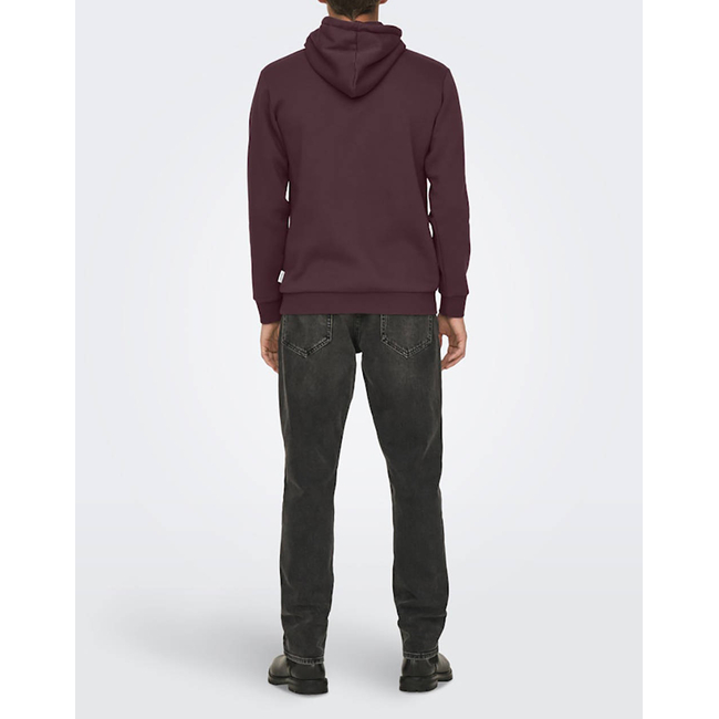 Product ONLY&SONS ONSCERES HOODIE SWEAT NOOS base image