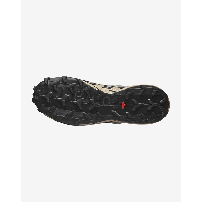 Product SALOMON  TRAIL RUNNING - CROSS SPEEDCROSS 6 GTX GULL / WHITE PEPPER / BLACK ΠΑΠΟΥΤΣΙ ΑΝΔΡΙΚΟ base image