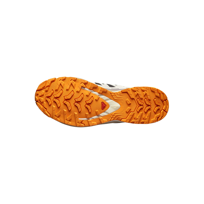 Product SALOMON  TRAIL RUNNING - XA PRO XA PRO 3D V9 GTX BLAC BLACK / VANILLA ICE / TURMERIC ΠΑΠΟΥΤΣΙ ΑΝΔΡΙΚΟ base image