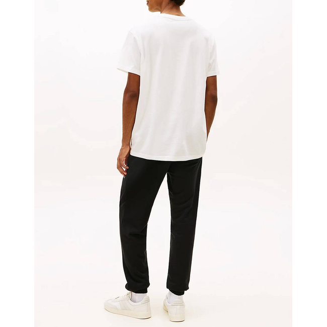 Product TOMMY JEANS TJM REG DNA TEE EXT base image