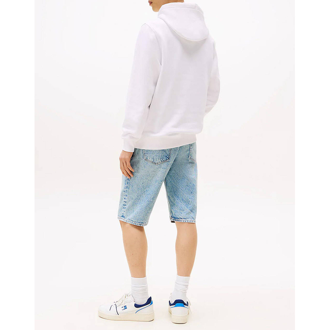 Product TOMMY JEANS TJM REG ESSENTIAL FLAG HOOD EXT base image