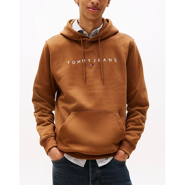 Product TOMMY JEANS TJM REG LINEAR LOGO HOODIE EXT base image