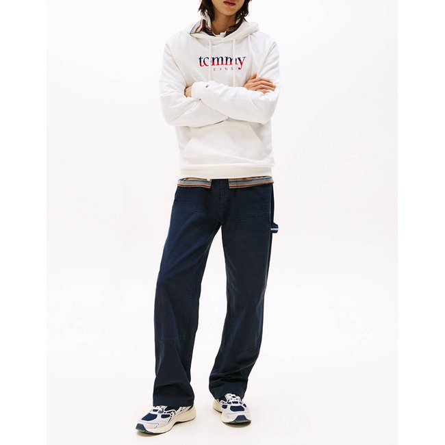 Product TOMMY JEANS TJM REG DNA HOODIE EXT base image