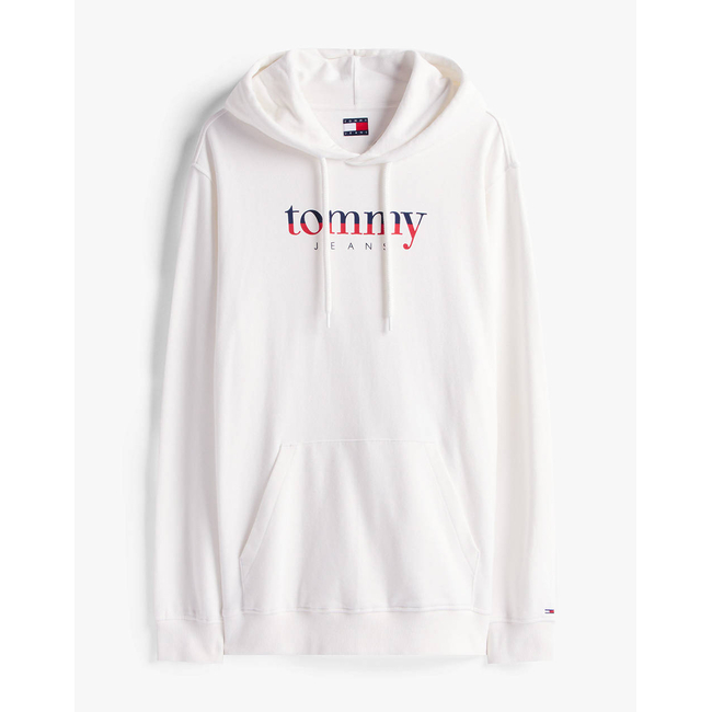 Product TOMMY JEANS TJM REG DNA HOODIE EXT base image