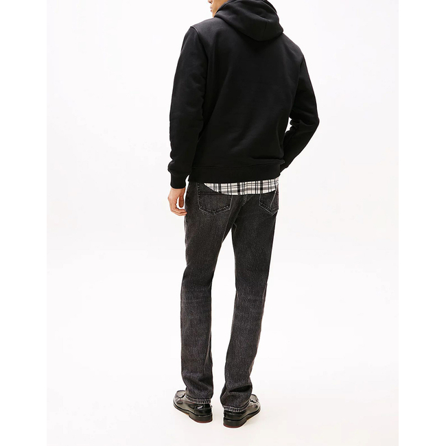 Product TOMMY JEANS TJM REG BADGE HOODIE EXT base image