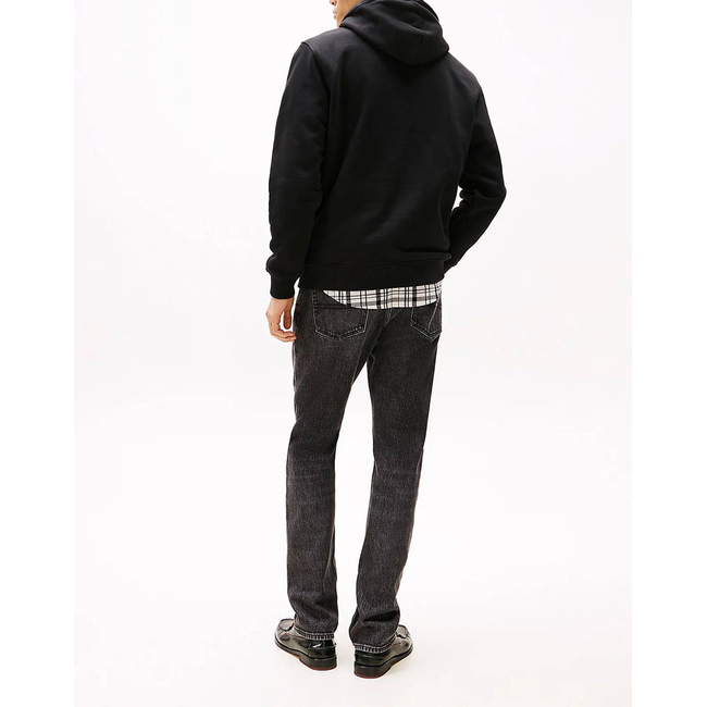 Product TOMMY JEANS TJM REG BADGE HOODIE EXT base image