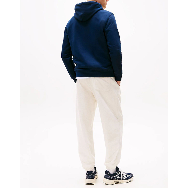 Product TOMMY JEANS TJM REG BADGE HOODIE EXT base image