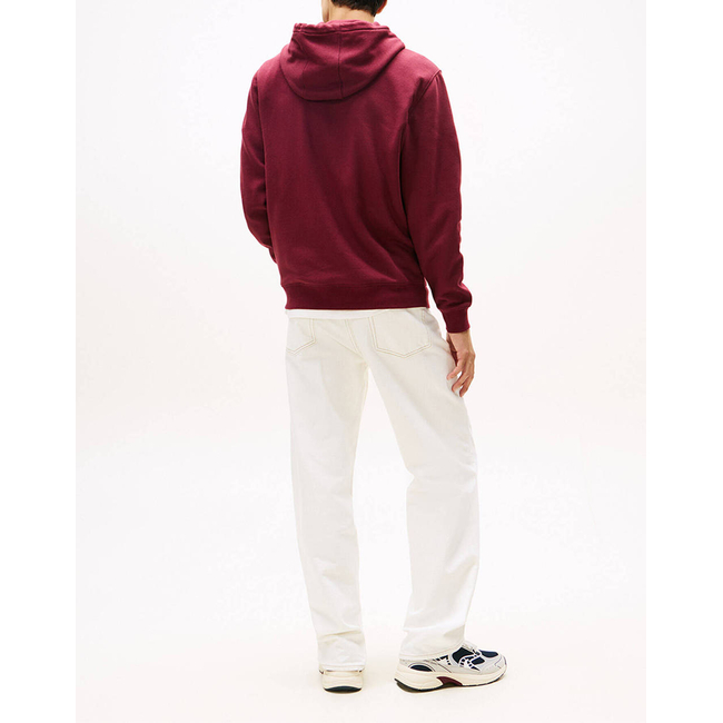 Product TOMMY JEANS TJM REG S FLAG HOODIE base image