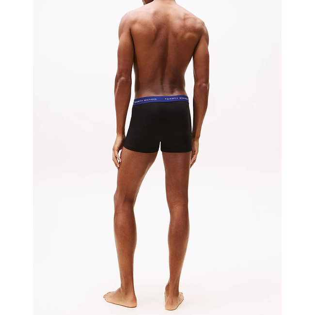 Product TOMMY HILFIGER 3P WB TRUNK base image
