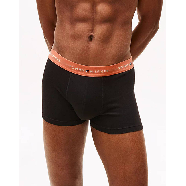 Product TOMMY HILFIGER 3P WB TRUNK base image