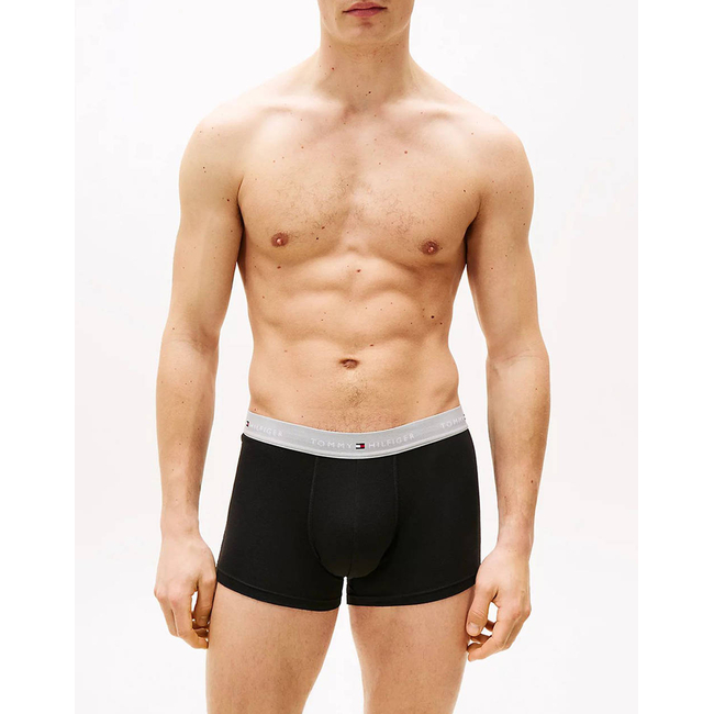 Product TOMMY HILFIGER 3P WB TRUNK base image