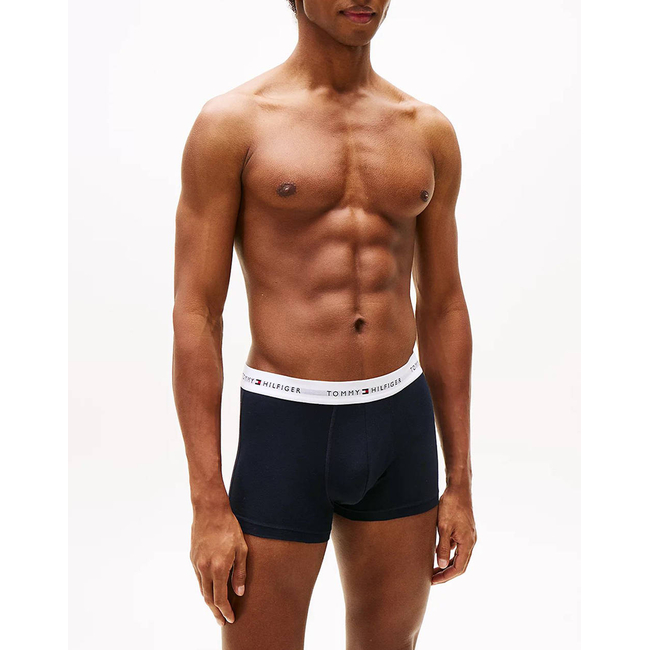 Product TOMMY HILFIGER 3P WB TRUNK base image
